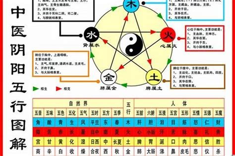 84年屬鼠|1984年属鼠五行属什么，84年属鼠人一生运势